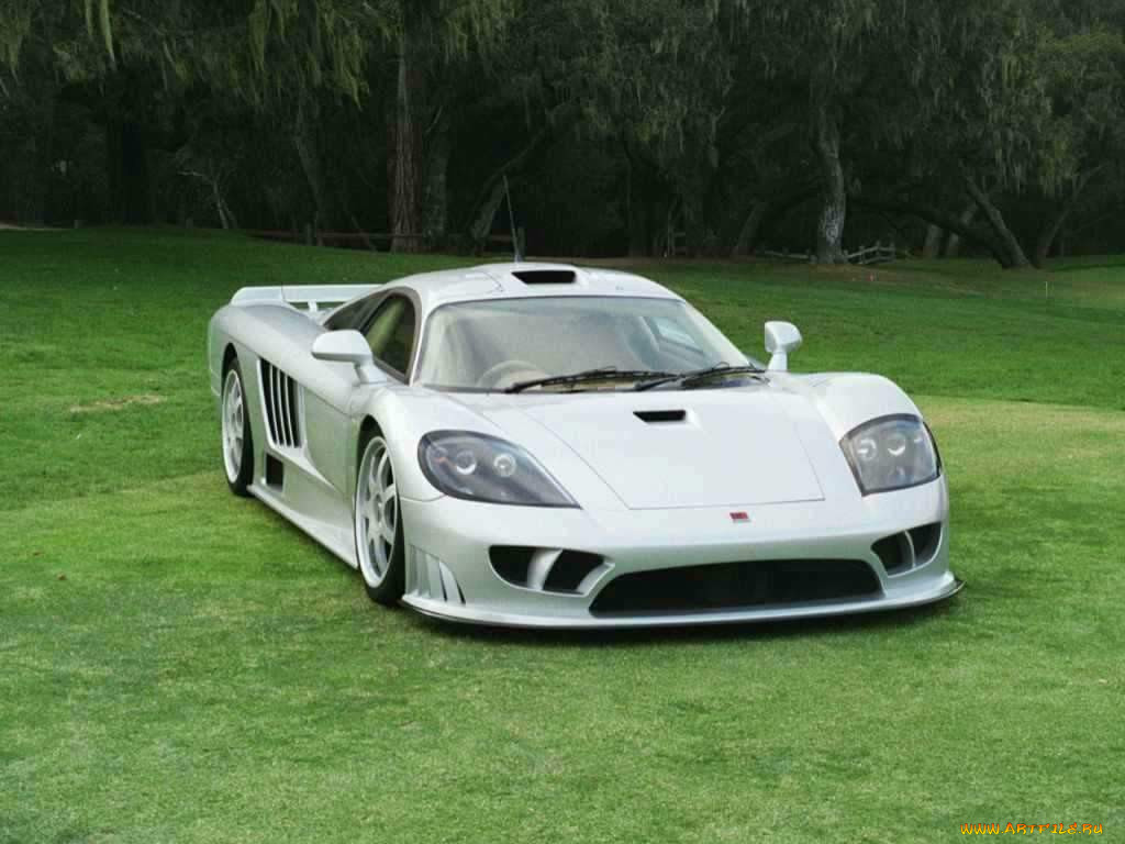 saleen, 